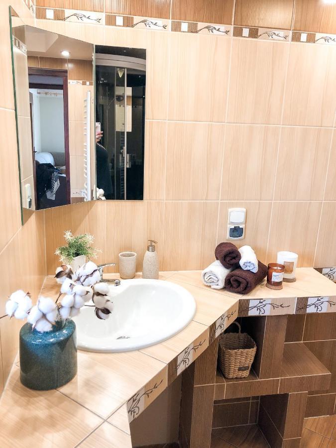 Apartamenty Przy Strumyku 什恰夫尼察 外观 照片