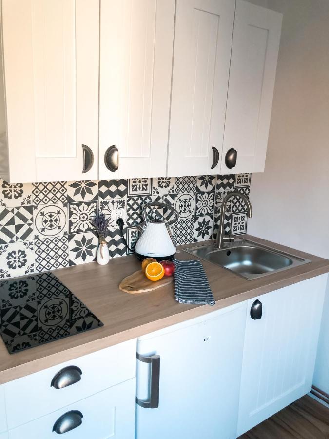 Apartamenty Przy Strumyku 什恰夫尼察 外观 照片