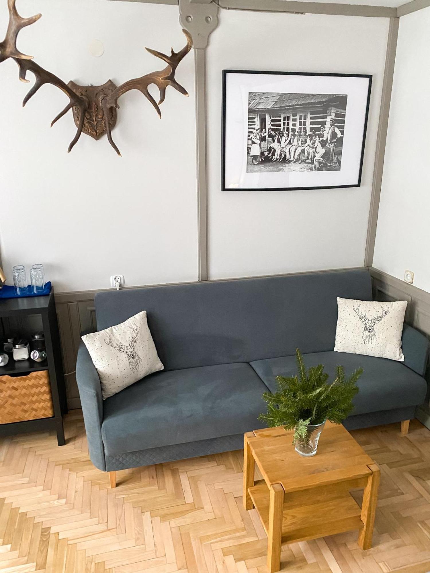 Apartamenty Przy Strumyku 什恰夫尼察 外观 照片